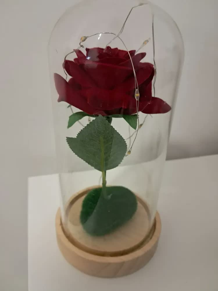 foto de Rosa A Bela E A Fera - Pequeno Príncipe Cúpula No Vidro Led Madeira