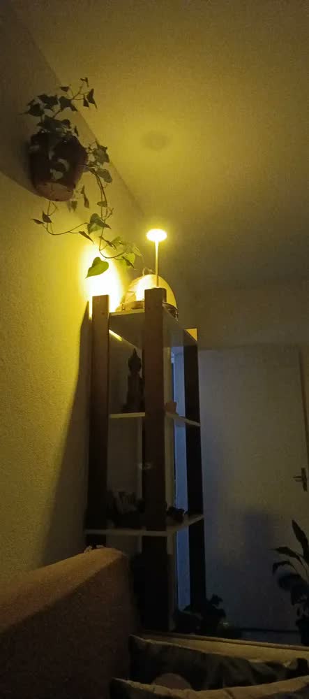 foto de Kit 2 Luminária Mesa Abajur Led Sem Fio 3 Modos De Luz Dourado-escuro