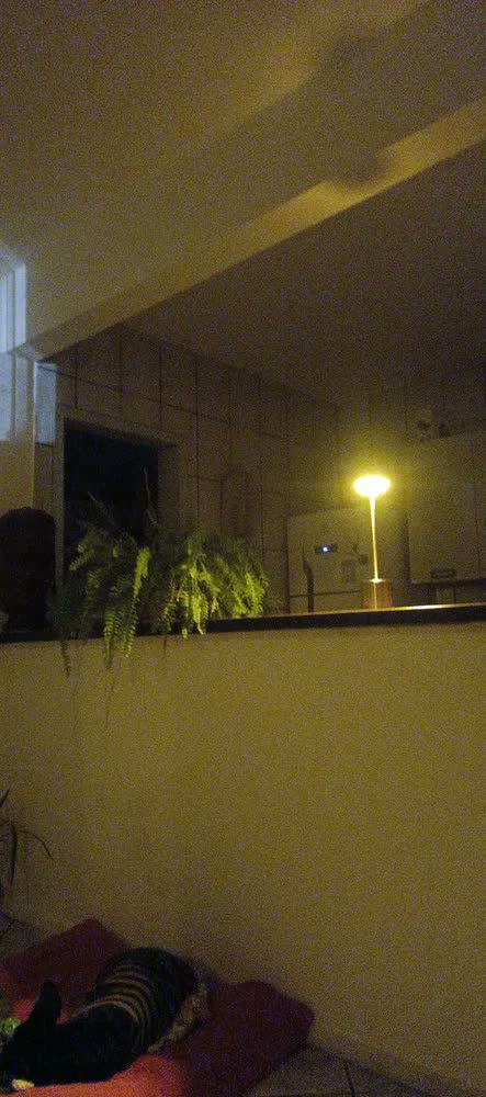 foto de Kit 2 Luminária Mesa Abajur Led Sem Fio 3 Modos De Luz Dourado-escuro