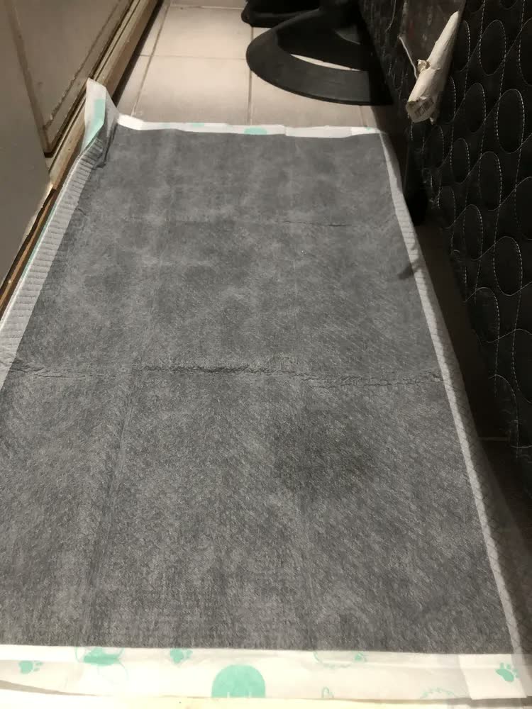 foto de Newpet Tapete Higiênico com Carvão Ativado e Lavanda 80x60cm 30un | Neutraliza Odores | Anti Vazamento | Feromônios | Adesivo Fixador