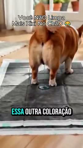 vídeo do produto