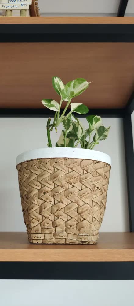 foto de Vaso Cachepot de Cerâmica Estilo Cesto de Palha Trançada, Natural – para Plantas e Decoração