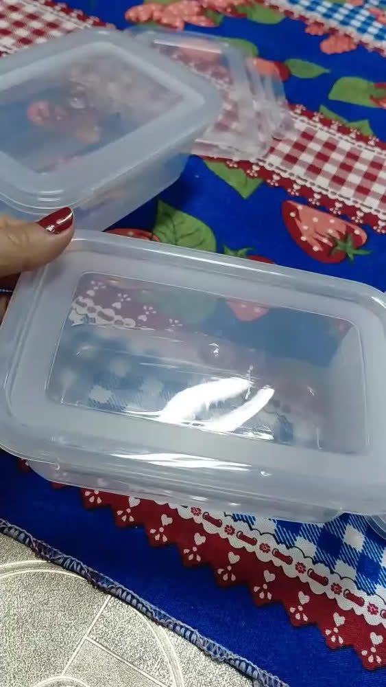 foto de Kit 10 Potes 750ml com Tampa Trava Plástico Transparente para Mantimentos e Alimentos Marmita Organizador de Cozinha Geladeira e Freezer Jogo de Potes para Organização Ponte Lar Utilidades