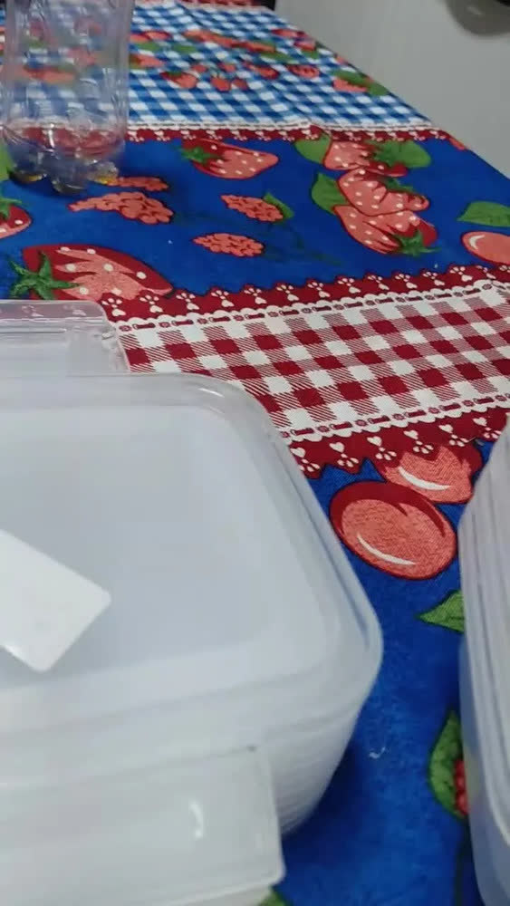 foto de Kit 10 Potes 750ml com Tampa Trava Plástico Transparente para Mantimentos e Alimentos Marmita Organizador de Cozinha Geladeira e Freezer Jogo de Potes para Organização Ponte Lar Utilidades