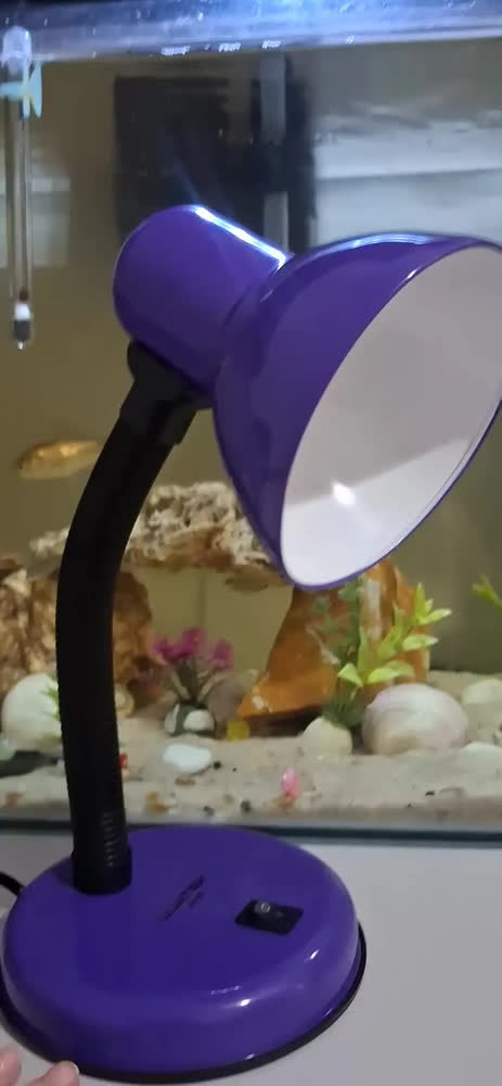 foto de Abajur de Mesa Preto LED Bivolt Luminária de Cabeceira Moderna Decorativa para Quarto Sala Escritório Luz de Leitura