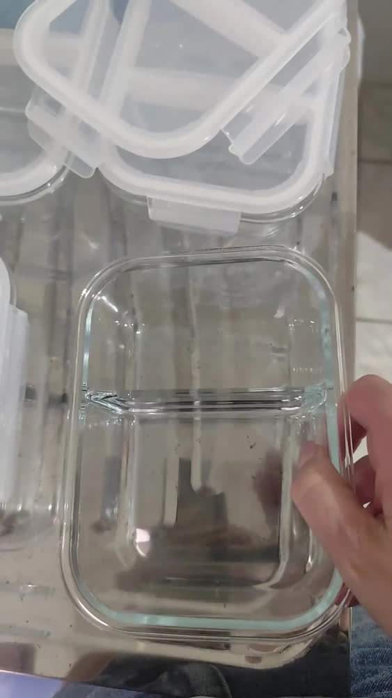 foto de Kit 4 Potes de Vidro com Divisória 640ml Hermético Fitness Refratário Pítia