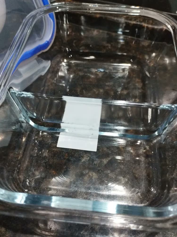 foto de Kit 3 Potes 640ml com Divisória de Vidro Hermético Borossilicato Marmita Pítia