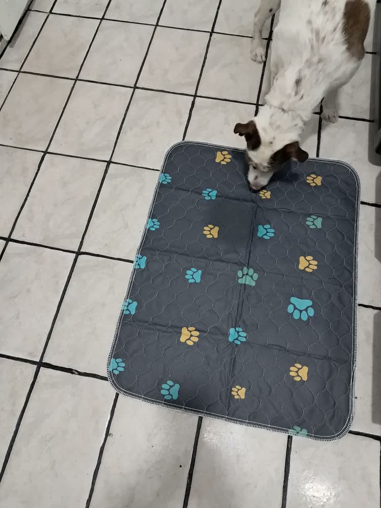 foto de Tapete Higiênico Lavável New Pet para Cães e Gatos 80x60cm – Reutilizável e com Camada Impermeável