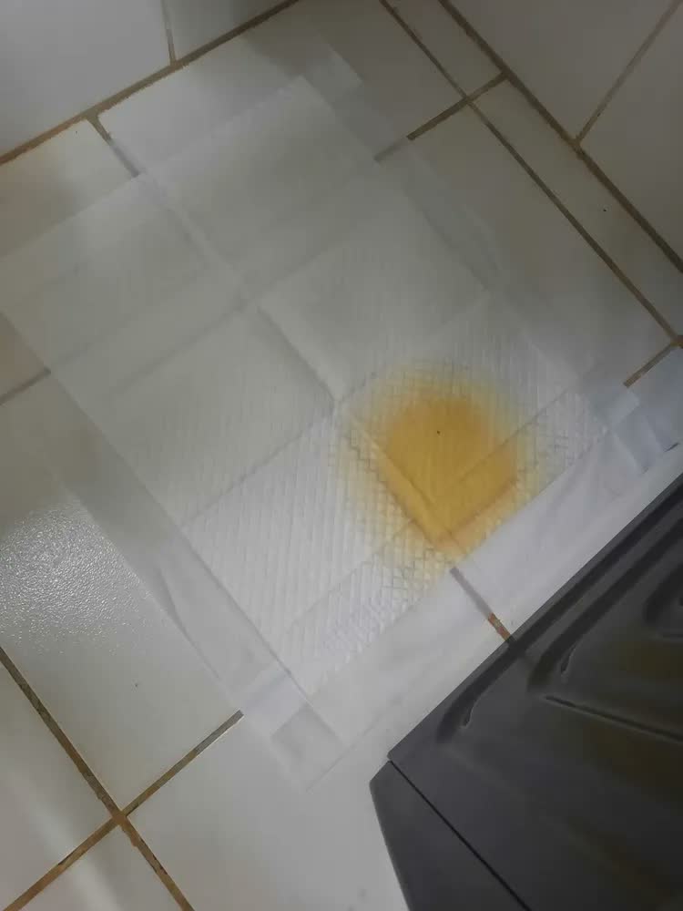 foto de Tapete Higiênico Descartável Luxena para Cães e Gatos 50x60 cm com 50 Unidades e Eliminação de Odor