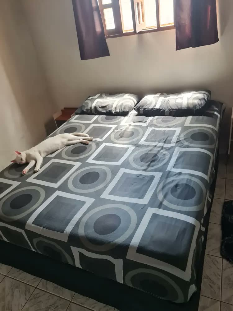 foto de Mesa De Cabeceira Criado Max Quarto Com Suporte Celular Lux Acabamento Fosco Cor Off white/Cinamomo