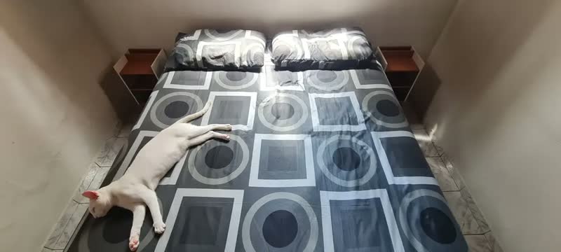 foto de Mesa De Cabeceira Criado Max Quarto Com Suporte Celular Lux Acabamento Fosco Cor Off white/Cinamomo