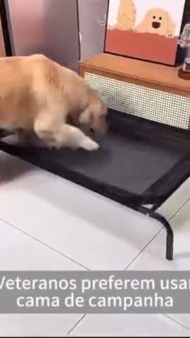 vídeo do produto