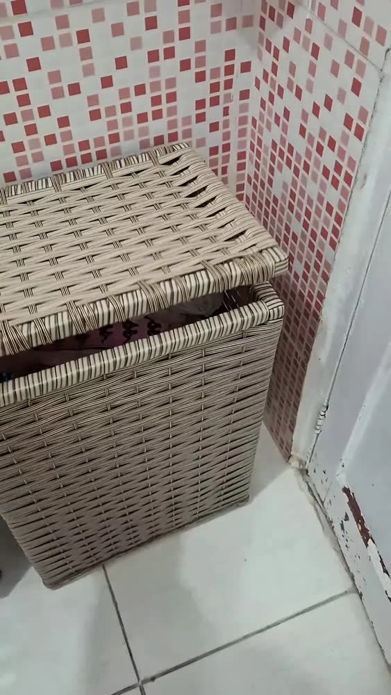 foto de Cesto De Roupa Roupeiro 41cm X 32cm X 60cm 70 Litros Argila Preto Preto Lisa