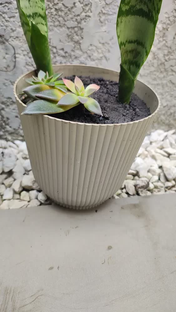 foto de Kit 5 Vasos De Orquídea Grande Cachepot De Plantas E Flores Cor Cinza