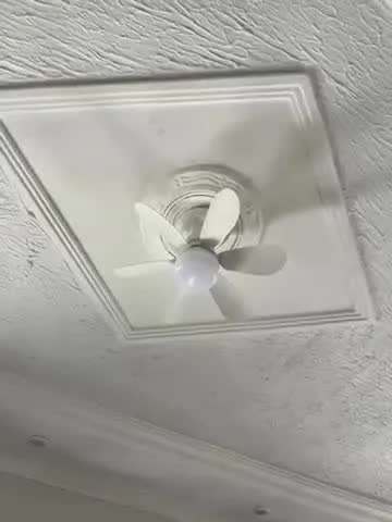 foto de Ventilador De Teto Led 6 Pás Branco Dry Tech 42 Cm 50hz/60hz Branco Plástico 6