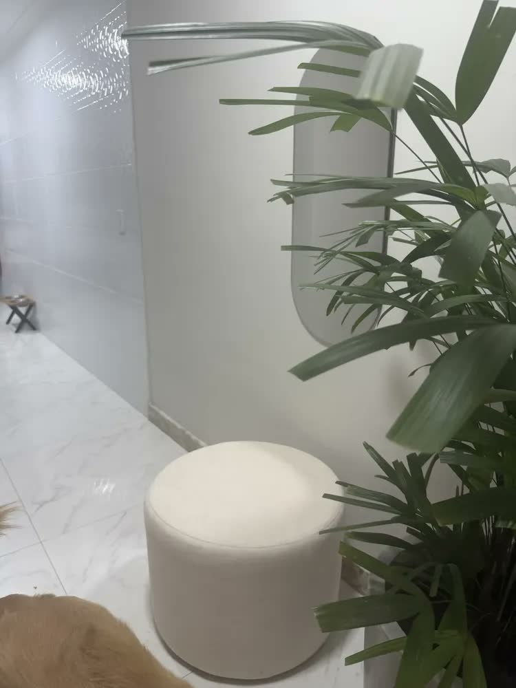 foto de Espelho Oval Grande Corpo Inteiro 90x40cm Dilar Decor | Luxo Estilo Pinterest | Acabamento Lapidado Para Decorar Parede de Sala, Quarto, Closet, Hall | Design Moderno Premium