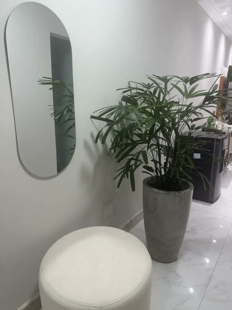 foto de Espelho Oval Grande Corpo Inteiro 90x40cm Dilar Decor | Luxo Estilo Pinterest | Acabamento Lapidado Para Decorar Parede de Sala, Quarto, Closet, Hall | Design Moderno Premium