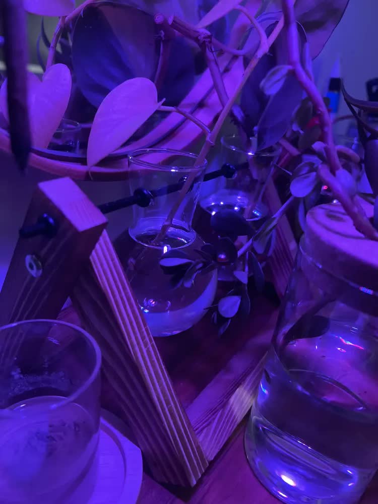 foto de Vaso Decorativo Vidro 2 Vasos Sala Presente Hidroponia Terra Marrom 3 Vasos Id