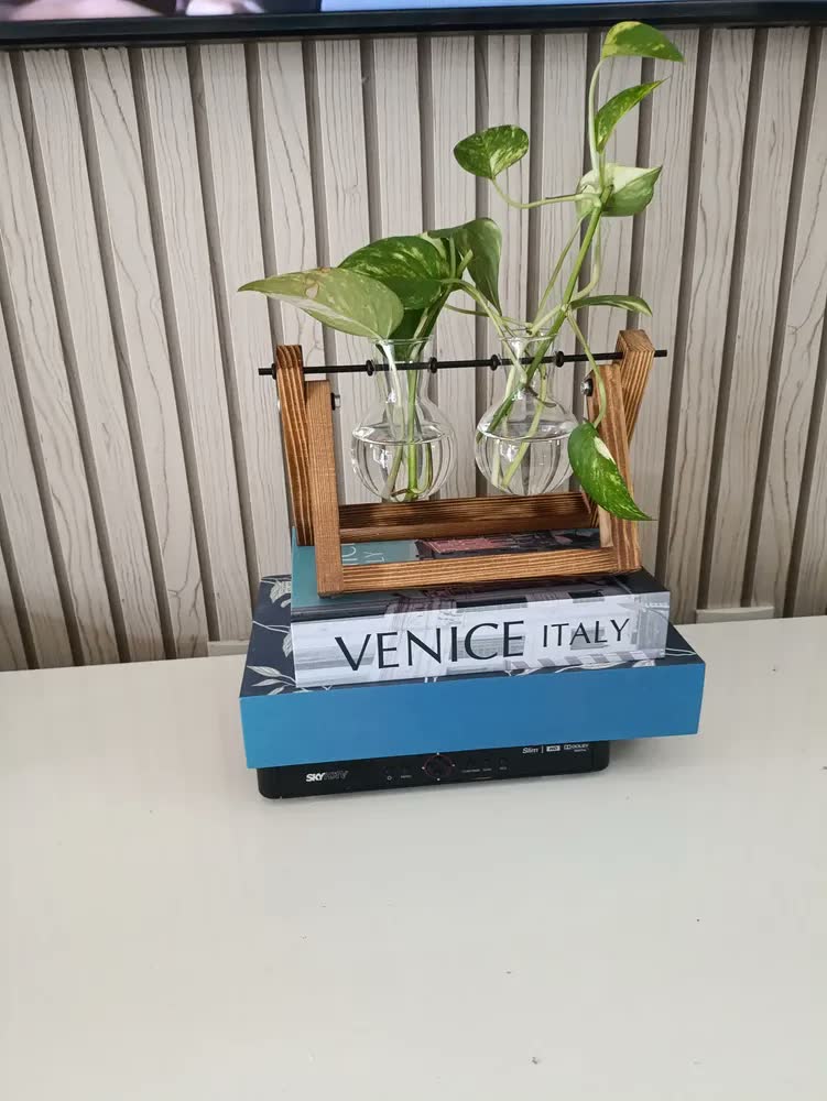 foto de Vaso Decorativo Vidro 2 Vasos Sala Presente Hidroponia Terra Marrom 3 Vasos Id