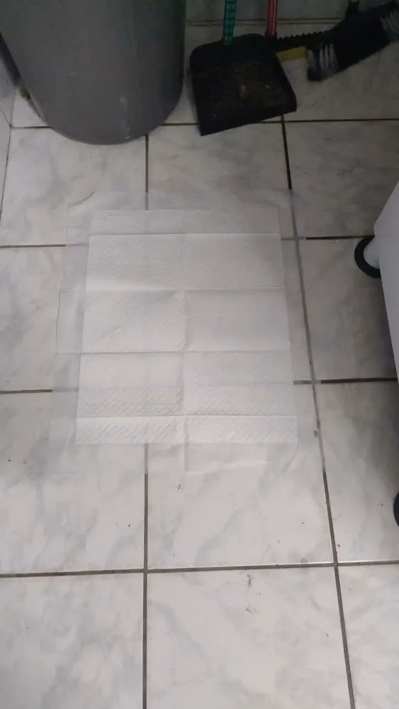 foto de Tapete Higiênico para Cães Gatos Pets Manta Absorvente 50 Unidades 50x60 cm Absorção Rápida PawSoft Premium