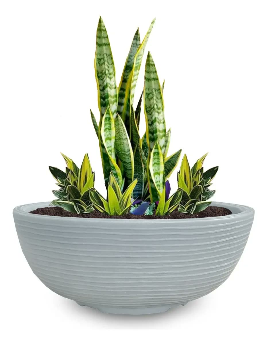 1 Bacia Planta Designer Moderno Resina Polietileno 50x18