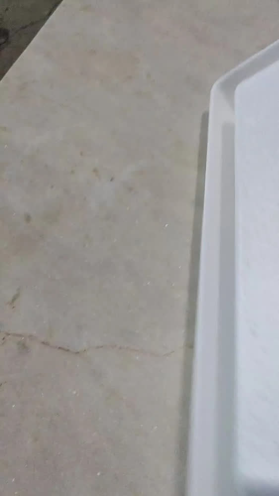 foto de 1 Prato Base P/ Vaso Grande Polietileno Plastico Q 40x40